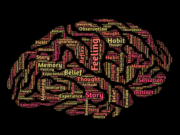 Психология криптоинвестирования — эмоции и мотивация mind, brain, mindset