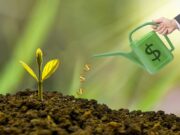 Риски и проблемы пассивного дохода в криптоактивах investment, watering can, dollar