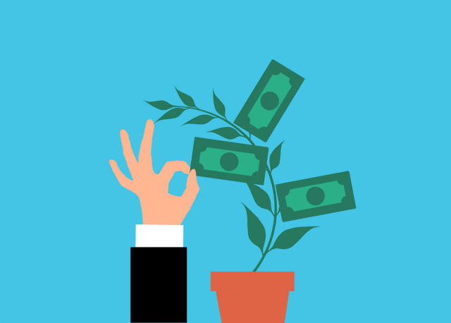 Photo by Mohamed_hassan money, plant, investment, cash, nature, tree, business, collecting, growth, profit, banknote, stack, collection, dollar, finance, cartoon, payment, hand, earning, economy, income, passive income, rich, wealth, money, money, money, money, money, investment, profit, finance, income