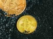 Как работает децентрализованная автономная организация? two gold bitcoins sitting on a black surface