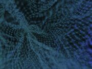 Блокчейн от А до Я — как работает и зачем нужен blue and white floral textile