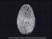 Многофакторная аутентификация и WebAuthn для крипто‑безопасности biometrics, access, identification, security, fingerprint, authentication, information, sensitive, identity, scan, fingerprint, fingerprint, fingerprint, fingerprint, fingerprint