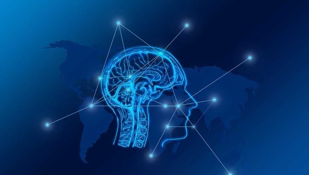 Применение блокчейна в цепочках поставок — прозрачность и трекинг transformation, web, brain, network, city, skyline, computer, digital, www, computer science, transfer, bits, data, networking, communication, connection, blockchain, brain, brain, brain, brain, brain