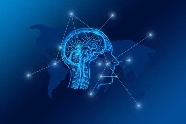 Photo by geralt transformation, web, brain, network, city, skyline, computer, digital, www, computer science, transfer, bits, data, networking, communication, connection, blockchain, brain, brain, brain, brain, brain