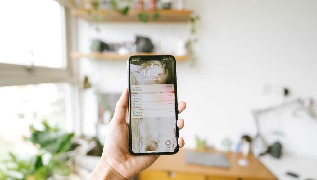 Аудит смарт‑контрактов — как защитить проект от уязвимостей iphone, hand, phone, mobile phone, smart phone, technology, hand holding a phone, notify, notifications, updates, messages, iphone, iphone, phone, phone, phone, phone, phone, mobile phone, smart phone, smart phone, notifications