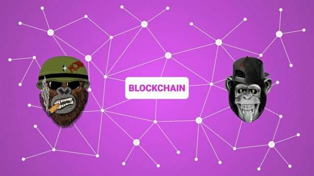 Photo by EURO_ELF blockchain, crypto, non fungible token, ape, nft, non-fungible token, cryptocurrency, virtual, network, digital, concept